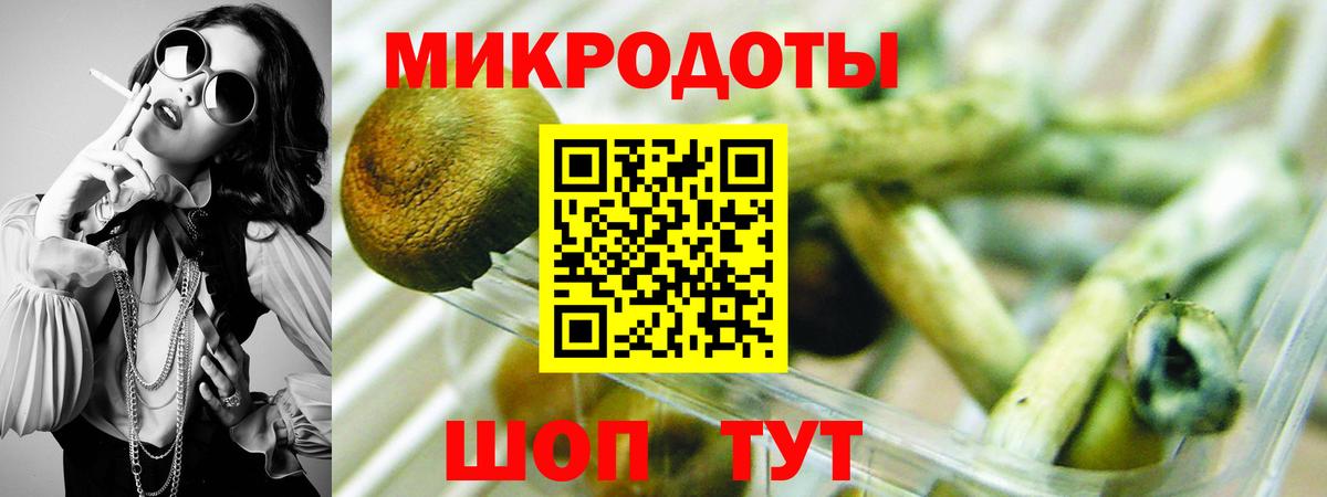 как найти закладки  Псилоцибиновые грибы мицелий  Соль-Илецк  Вход с VPN  Галлюциногенные грибы Cubensis 