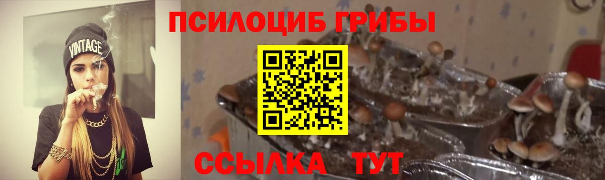 Псилоцибиновые грибы MAGIC MUSHROOMS Соль-Илецк